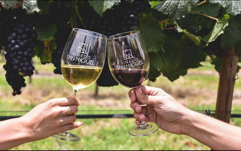 En este prestigioso certamen europeo, que tuvo su primera edición en 2009, el Viñedo San Miguel fue el único representante mexicano en recibir algún reconocimiento. CORTESÍA