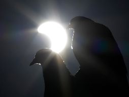 La transmisión en vivo de la AP comenzará a las 10 de la mañana, del este de Estados Unidos, con tomas desde Mazatlán, México, y otros puntos. EFE / ARCHIVO