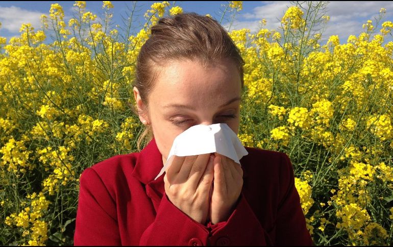 Las alergias y la sinusitis son problemas nasales, pero no son lo mismo. ESPECIAL/ Foto de Corina en Pixabay