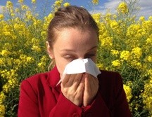 Las alergias y la sinusitis son problemas nasales, pero no son lo mismo. ESPECIAL/ Foto de Corina en Pixabay