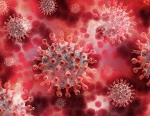 Se ha intensificado la vigilancia epidemiológica y se están llevando a cabo esfuerzos para identificar el origen del mono salvaje que atacó al enfermo. Pixabay.