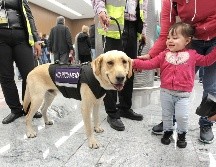 Con este nuevo beneficio a los pasajeros se espera que ahorren en gran medida el costo que esto implicaba, pues tenían que pagar alrededor de 35 dólares, cerca de 580 pesos mexicanos. INFORMADOR/ARCHIVO