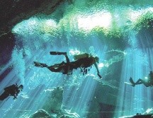 El Gran Cenote de Tulum, un majestuoso lugar que se puede explorar buceando. Secretaría de Turismo / CORTESÍA