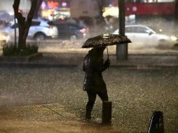 Si bien la primavera inició hace poco, más de alguno ya quiere tomar sus precauciones, ya sea con la impermeabilización de techos o reparación de desperfectos en casa para evitar filtraciones. SUN / ARCHIVO