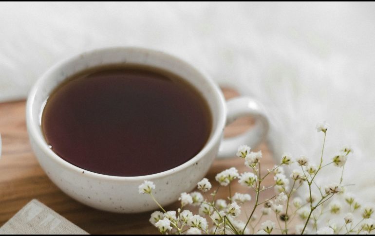 Se considera que esta planta es diurética, logrando optimizar el funcionamiento de los riñones. UNSPLASH / Jocelynne Flor