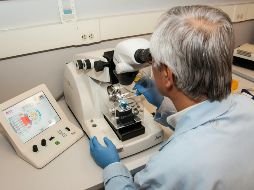 Los principales factores de riesgo son tener más de 50 años y antecedentes familiares. UNSPLASH /  National Cancer Institute