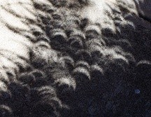 En las imágenes se ven como se forman medias lunas en las sombras de los árboles y esto se trata de un efecto óptico que sucede cuando la luz atraviesa un pequeño orificio. EL INFORMADOR/ A. Navarro.