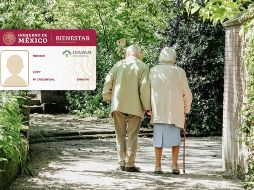 Entre los programas destinados a personas mayores de 60 años se destaca el Instituto Nacional para los Adultos Mayores. Unsplash.