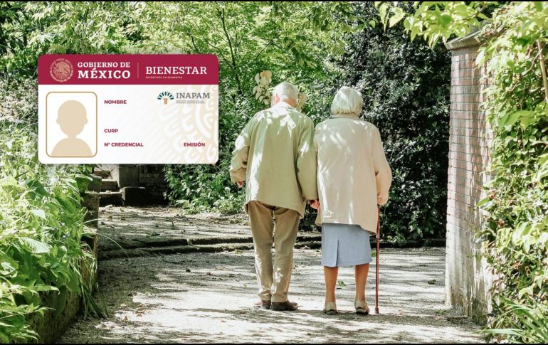 Entre los programas destinados a personas mayores de 60 años se destaca el Instituto Nacional para los Adultos Mayores. Unsplash.