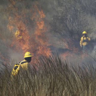 Conafor: Recortes afectan capacidad para atender incendios