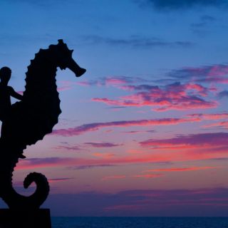 Puerto Vallarta 2024: mujer estadounidense defiende a restaurante y se viraliza (VIDEO)