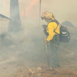 Reportan incendio forestal en Mesa del Nopal, en Tala