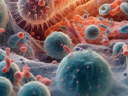 En cuanto a los virus, se trata de organismo mucho más pequeños que las bacterias y pueden causar una multitud de enfermedades que van desde el resfriado común hasta el Sida. Pixabay
