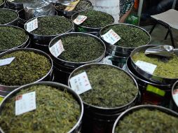 Esta planta podría ayudarte a paliar el dolor y la inflamación en tu cuerpo. EFE / ARCHIVO