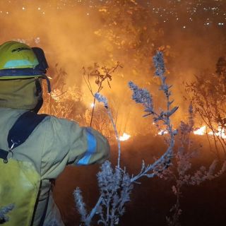 Bosque de La Primavera: Ocurre cuarto incendio forestal de la semana