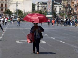 En medio de la ola de calor se desató el lunes incendios forestales que afectaron cerca de dos hectáreas en las alcaldías de Tlalpan y Xochimilco. SUN/ ARCHIVO.