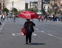 En medio de la ola de calor se desató el lunes incendios forestales que afectaron cerca de dos hectáreas en las alcaldías de Tlalpan y Xochimilco. SUN/ ARCHIVO.