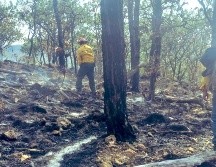 Brigadistas de seis dependencias participaron en la extinción del fuego. CORTESÍA/Semadet