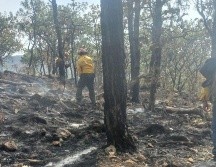 Este fue el quinto incendio registrado en al menos 7 días dentro del área natural protegida del bosque. ESPECIAL