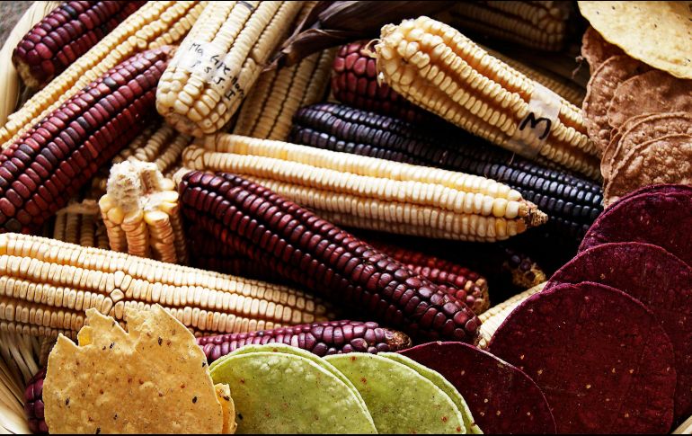 Aquí te dejamos el programa completo para que vivas esta experiencia. NTX / ARCHIVO