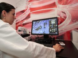 La tendencia indica que es más común que el cáncer aparezca en edades tempranas con respecto a las últimas décadas. NOTIMEX / ARCHIVO