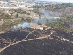 De acuerdo con datos de la CONAFOR, Jalisco es el estado con más incendios forestales en superficie con vegetación sensible al fuego, del 1 de enero al 11 de abril de ese año, con un total de 82 siniestros. CORTESÍA/ Protección Civil Zapopan.