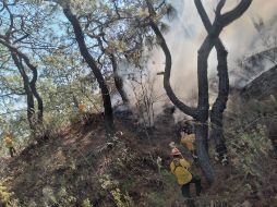 Los fuertes vientos podría expandir el fuego. TWITTER / @ReporteForestal