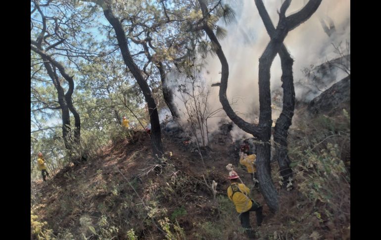 Los fuertes vientos podría expandir el fuego. TWITTER / @ReporteForestal