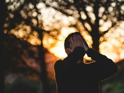 Si estás pasando por una etapa complicada y te sientes estresado o de mal humor, este alimento de precio económico contiene complejo B el cual ayuda a reducir los niveles de estrés. Unsplash