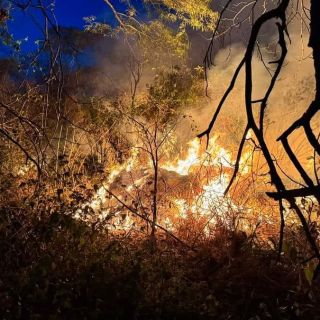 Civiles sorprenden a una mujer provocando incendio en La Primavera