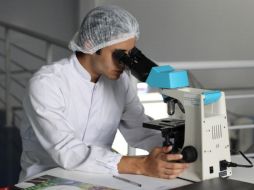 La revista Science publicó los resultados recabados por los científicos. Pixabay