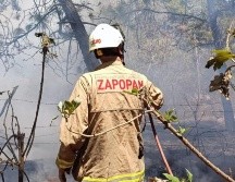 Elementos de la Coordinación Municipal de Protección Civil y Bomberos de Zapopan trabajan para extinguirlo. X / @UMPCyBZ