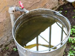 El agua debe ser tratada para su consumo. EL INFORMADOR ARCHIVO