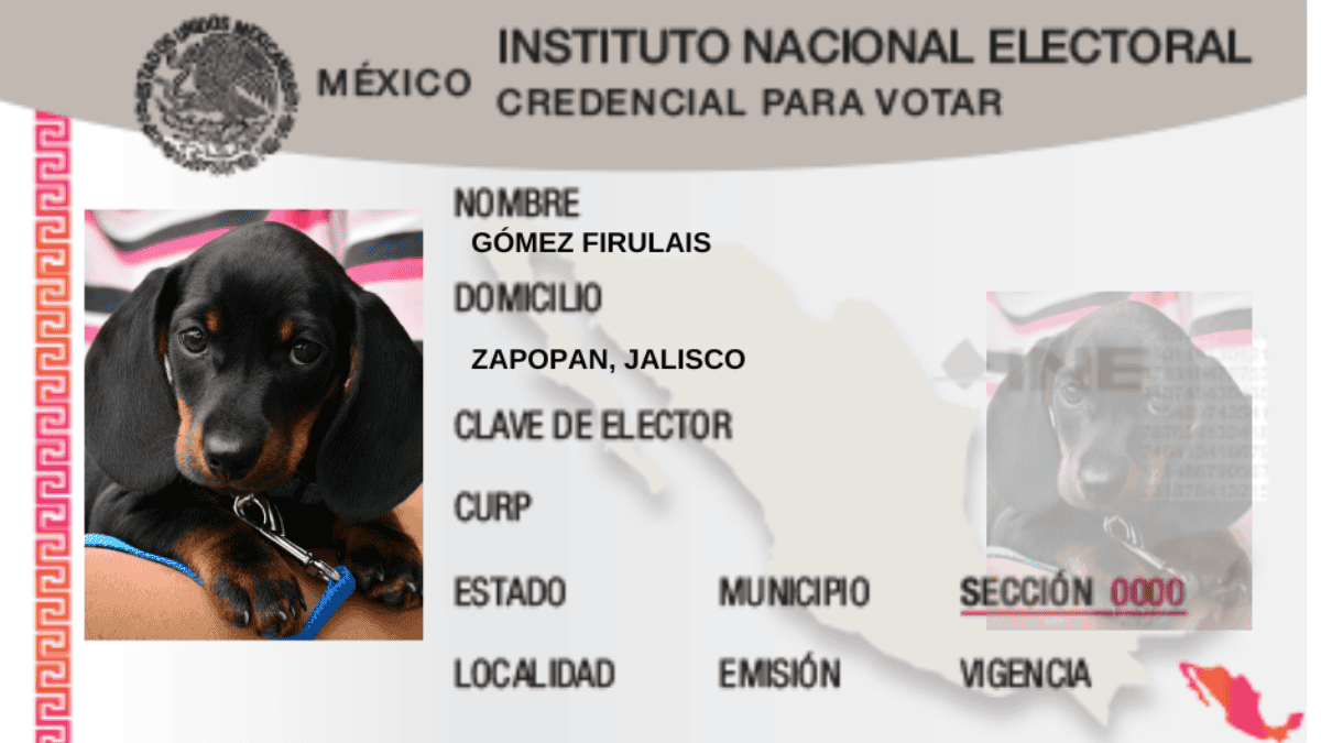 necesito registrar a mi perro en la ciudad