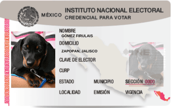 que es un perro registrado