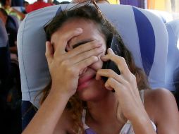 El aceite extraído de esta planta igual ayuda en un dolor de muelas hasta los síntomas del resfriado común. AP / ARCHIVO