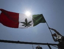 Este 20 de abril se conmemora el Día Internacional de la Marihuana. SUN / ARCHIVO