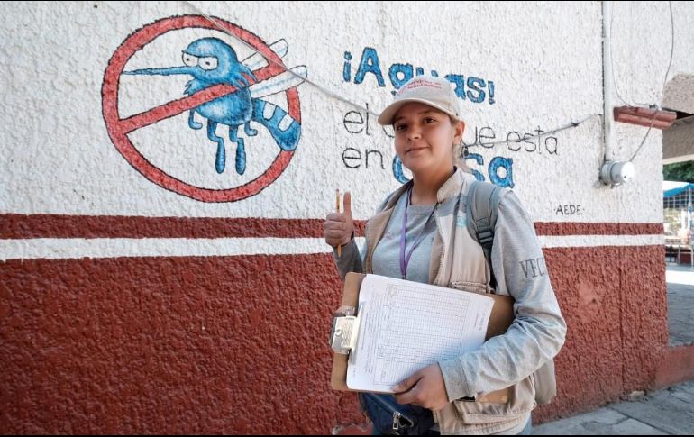 Se ha hecho rociado intradomiciliar en más de 48 mil viviendas y se han recolectado 2 mil 564 toneladas de cacharros. ESPECIAL