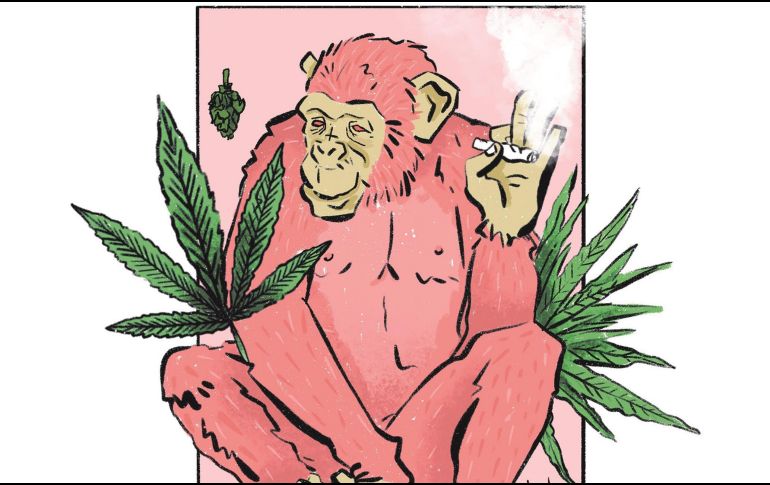 El etnobotánico Terence McKenna lanzó una hipótesis según la cual el cerebro humano resultó del consumo de sustancias psicotrópicas. CORTESÍA/@elchubi_