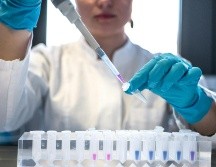En aproximadamente 1 de cada 10 casos de esclerosis múltiple, el organismo empieza a producir un conjunto característico de anticuerpos contra sus propias proteínas años antes de que aparezcan los síntomas, según han visto los investigadores. UNSPLASH / Julia Koblitz