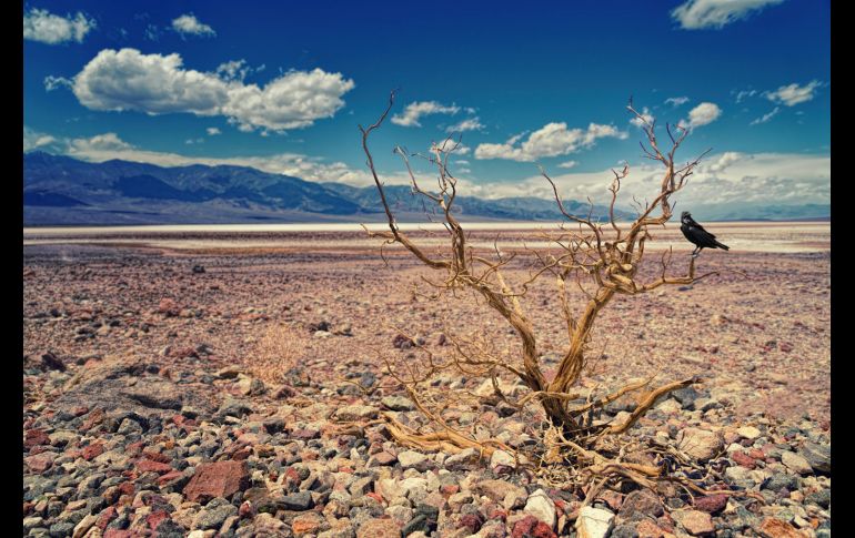 La sequía excepcional es la más aguda de todas. Pexels