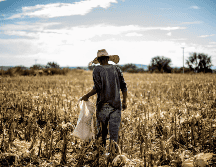 La Organización Internacional del Trabajo sugirió que los gobiernos pueden mejorar su legislación y ayudar a lidiar con el efecto creciente del cambio climático sobre sus trabajadores. EL INFORMADOR / ARCHIVO