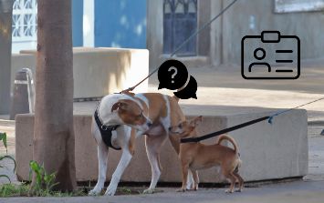 necesito registrar a mi perro en la ciudad