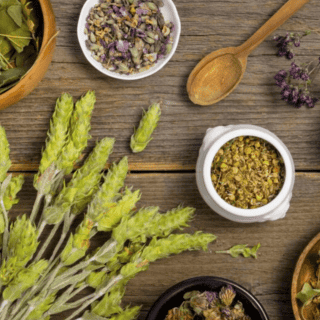 ¿Qué hierbas naturales ayudan a purificar los pulmones?