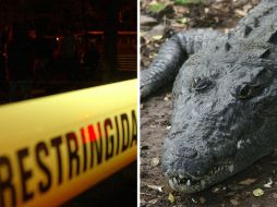 Los heridos fueron trasladados a un hospital para su atención. ESPECIAL / EL INFORMADOR y NTX