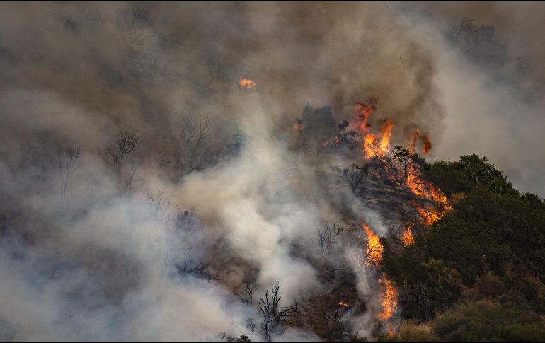 Los incendios forestales han azotado al estado de Guerrero. EFE/ARCHIVO