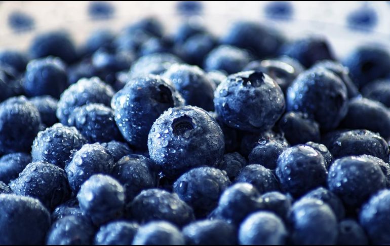Consumir arándanos aportará en distintas funciones de tu organismo y en los sistemas que lo componen. ESPECIAL/ Foto de 51581 en Pixabay