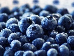 Consumir arándanos aportará en distintas funciones de tu organismo y en los sistemas que lo componen. ESPECIAL/ Foto de 51581 en Pixabay