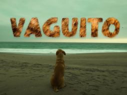 Vaguito: te esperaré en la orilla fue estrenada el 18 de abril y causó gran emoción en el público peruano. ESPECIAL