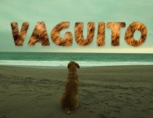 Vaguito: te esperaré en la orilla fue estrenada el 18 de abril y causó gran emoción en el público peruano. ESPECIAL